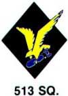 513th Squadron Patch