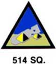 514th Squadron Patch